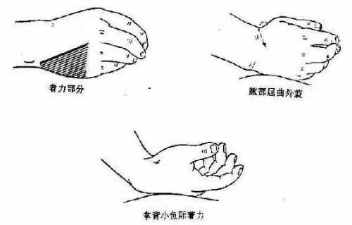 重慶催乳師培訓哪家好？