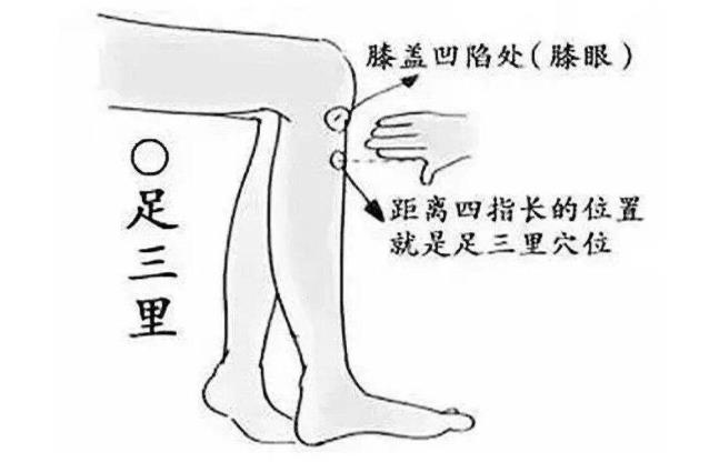 腸胃消化按摩足三里