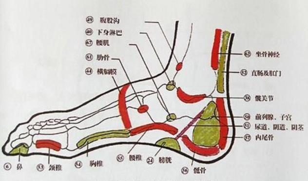 重慶專業反射療法培訓學校哪家好？
