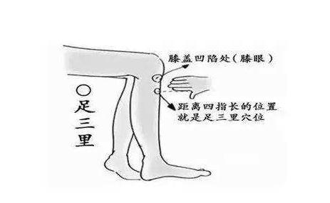 中醫(yī)推拿培訓(xùn)學(xué)校：女性氣血保養(yǎng)，常按足三里