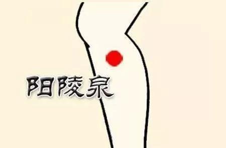 如何去除濕氣？不妨試試按摩這些穴位