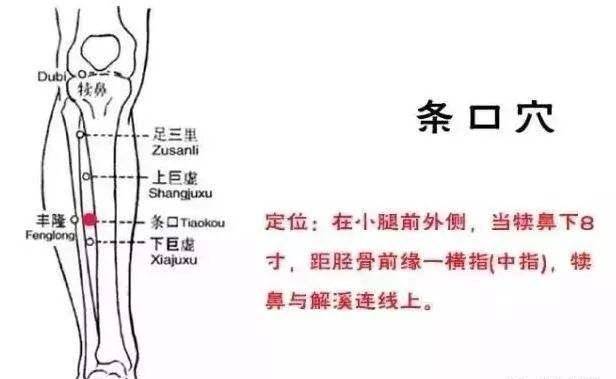 輕輕按壓“條口穴”就很痛是怎么回事?