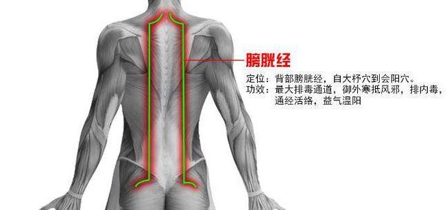 推拿培訓學校分享經(jīng)絡養(yǎng)生小妙招