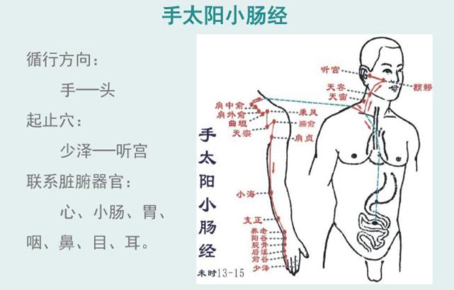 推拿培訓學校分享經(jīng)絡養(yǎng)生小妙招