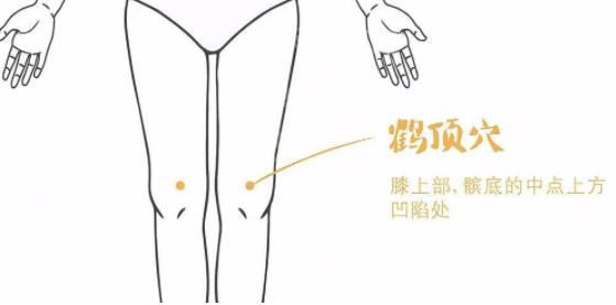 鶴頂穴