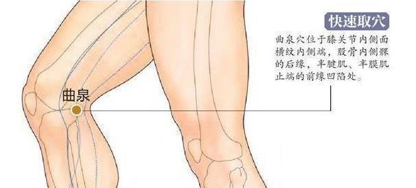 你是否肝腎陰虛？試試按摩這里